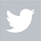 Twitter Icon
